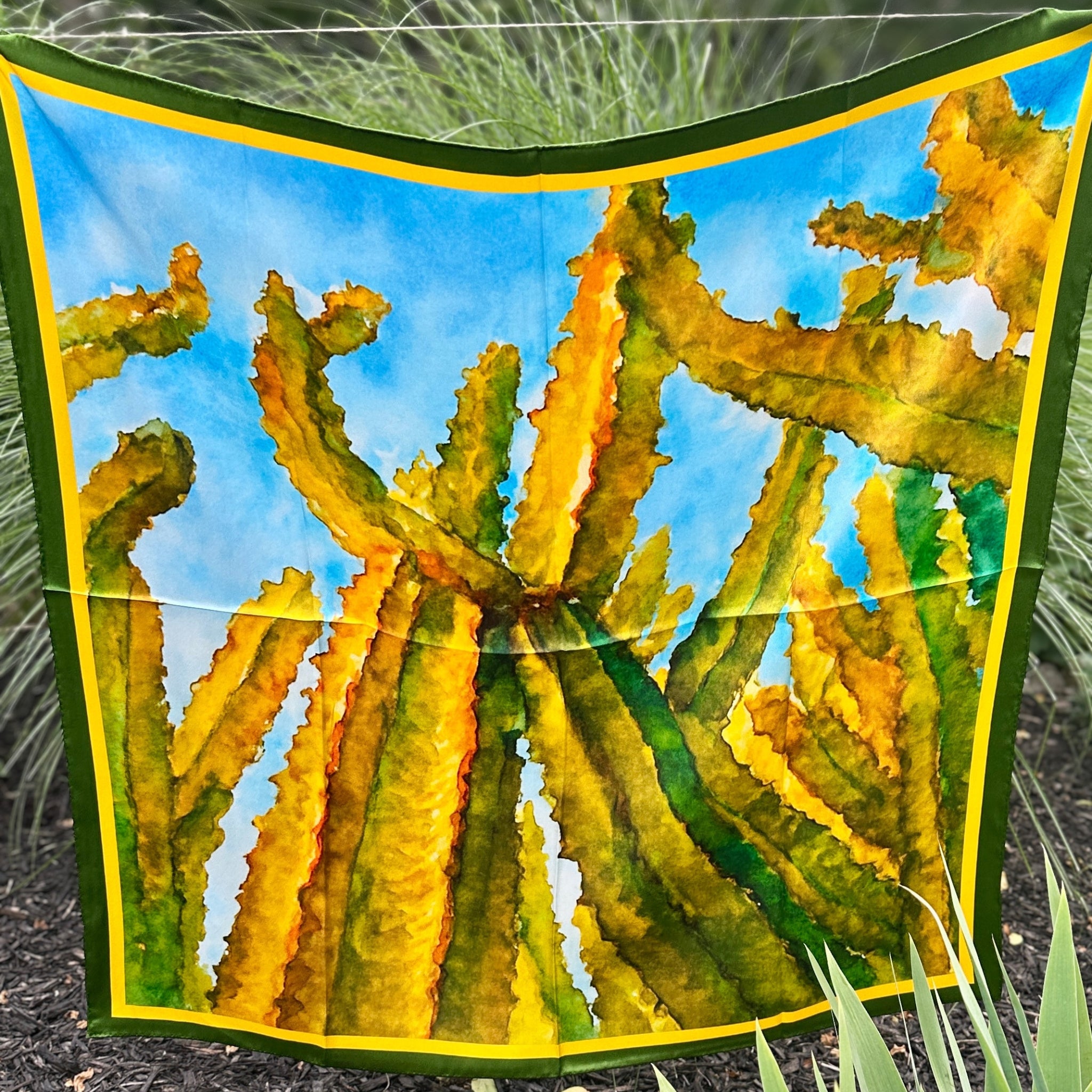 Anza-Borrego Desert — Reaching for Sky