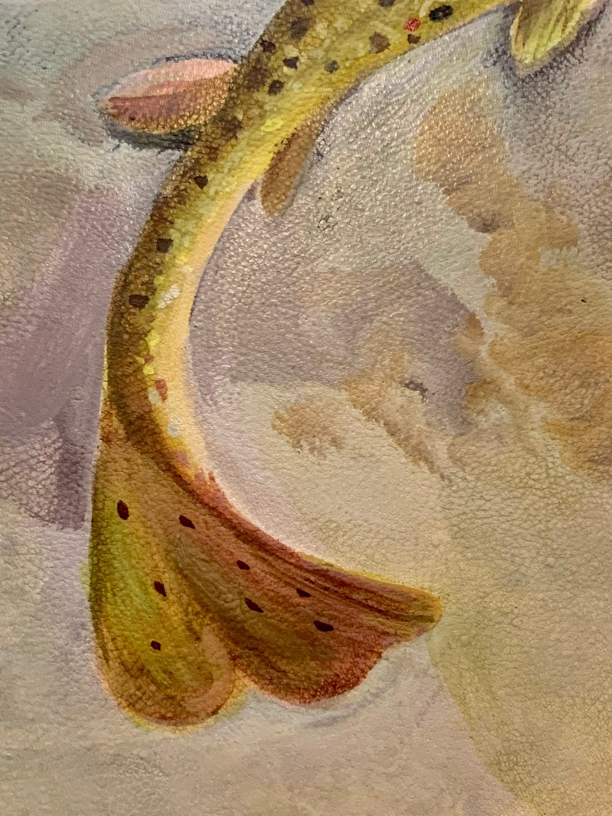 Bridger Leather Bench Spearfish Canyon Brown Trout Bench (Available)