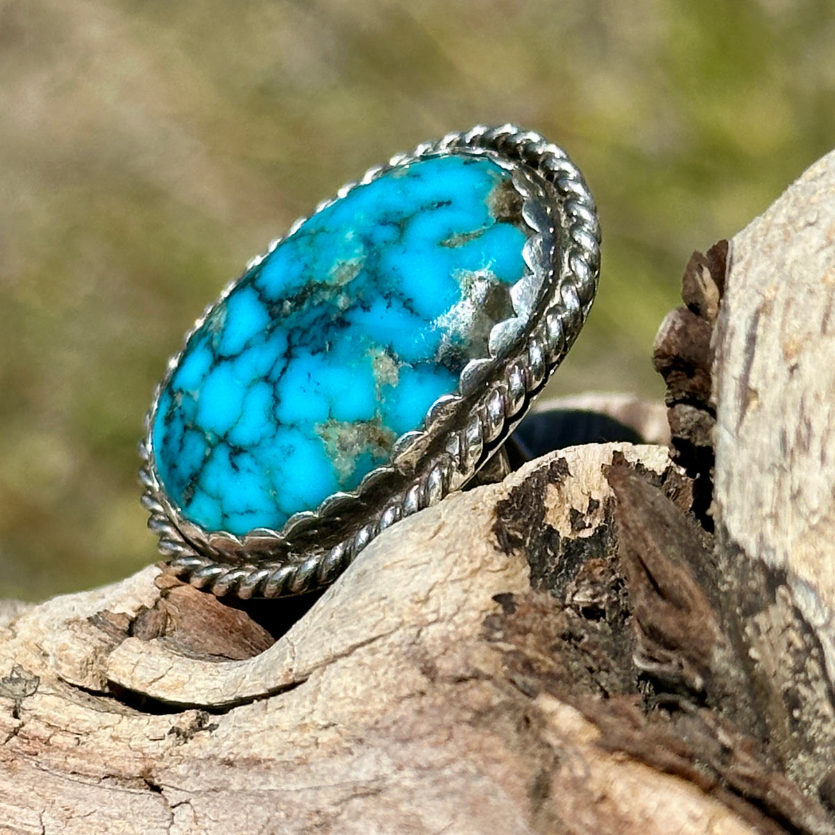Sterling silver ring with a vivid blue oval turquoise and golden-brown matrix in a twisted-rope bezel, perched on driftwood outdoors