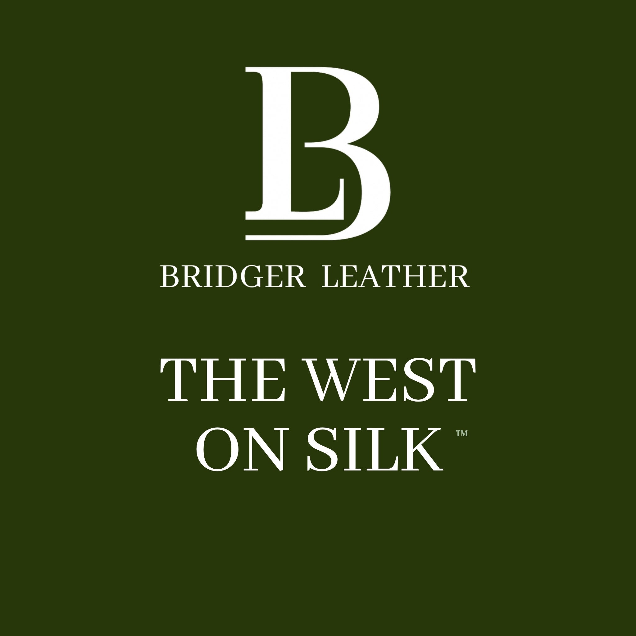 Anza-Borrego Desert — Reaching for Sky Silk Scarf - Scarves - Bridger Leather