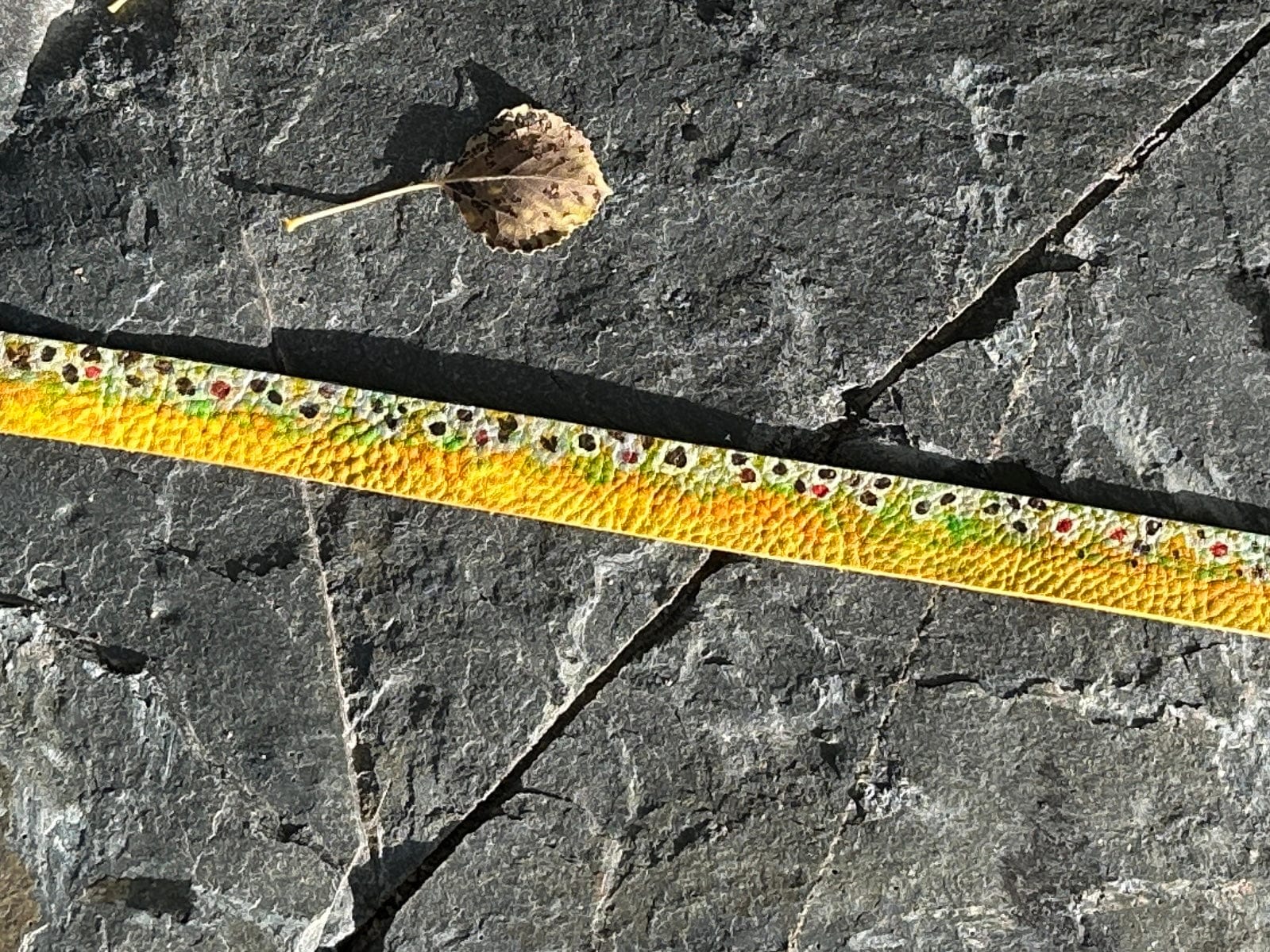 Brown Trout Hatband - Bridger Leather